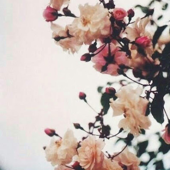 Meet your Posher, Chelsea - Picture 1 of 1